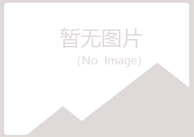 鹤山区沙砾建设有限公司